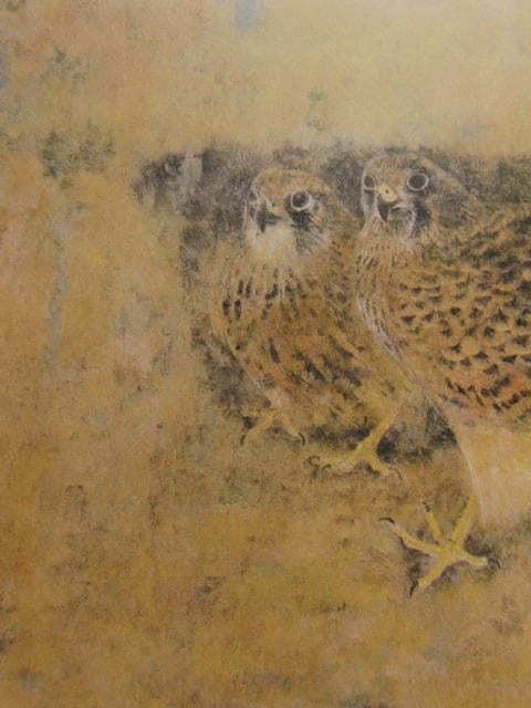 野々内良樹、【長元坊】、希少な額装用画集より、新品額装付、状態良好