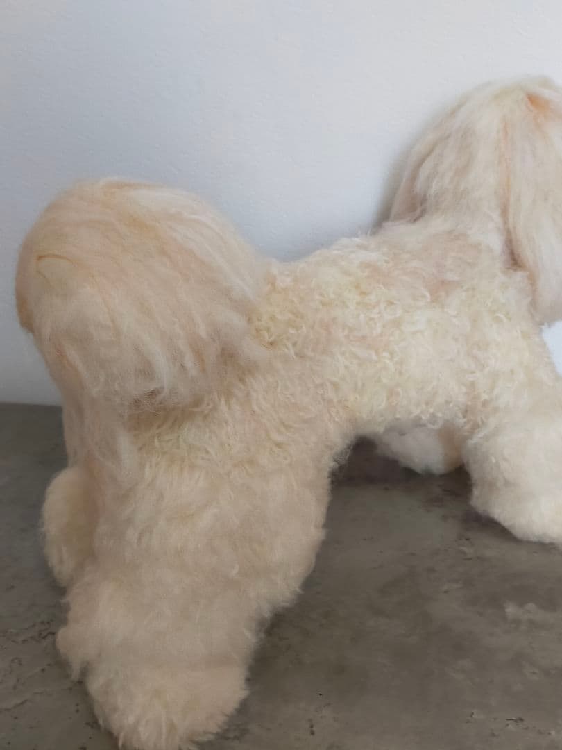 はなさんオーダー♡等身大一体