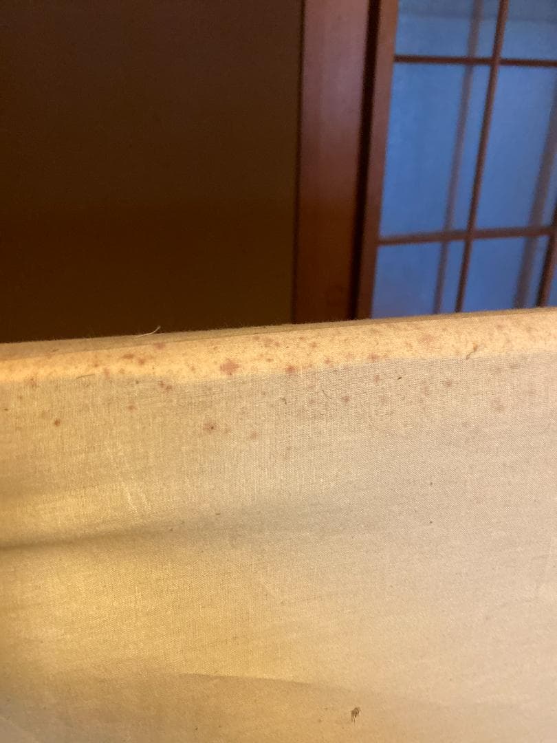 【11/30まで値下げ】クリスチャン・ラッセン グロリアス ライフ（額付き）