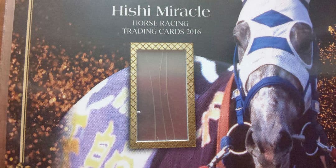 最終値下げ】ウマ娘 ヒシミラクル DNAカード 希少 ホースレーシング