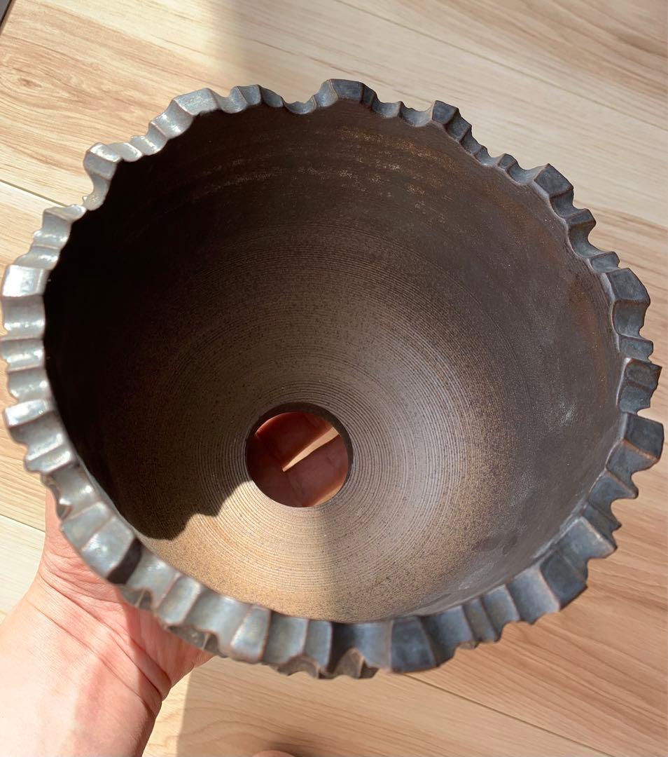 発根済　オペルクリカリア パキプス 手作鉢付き