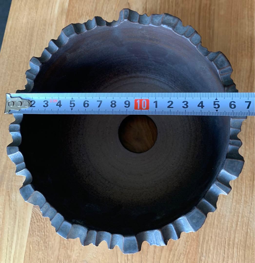 発根済　オペルクリカリア パキプス 手作鉢付き