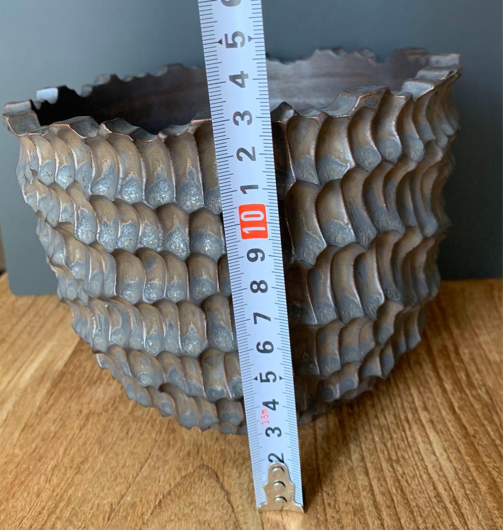 発根済　オペルクリカリア パキプス 手作鉢付き