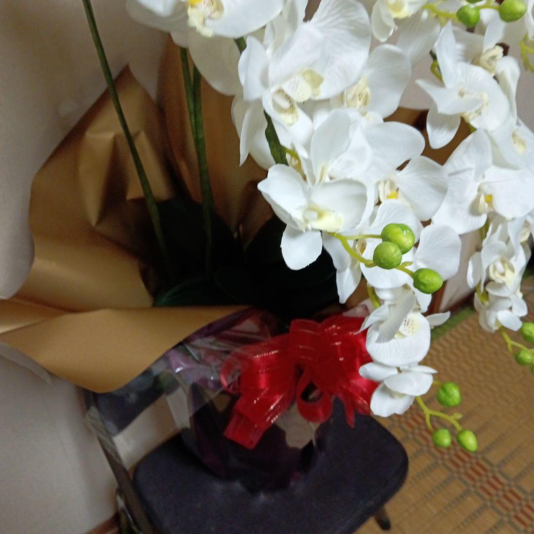 造花　胡蝶蘭白　５本立ち　お祝い花　お供え花