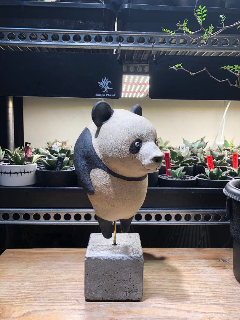 陶仁　パンダ　一点物　置物