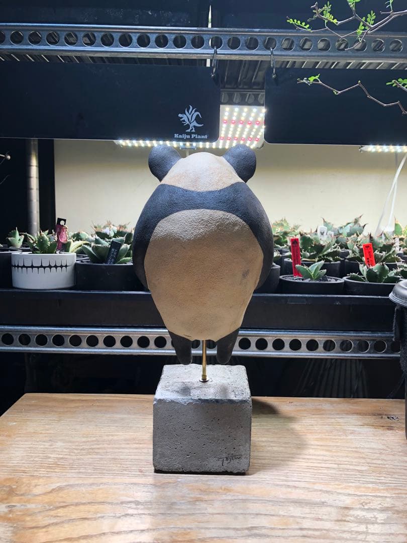 陶仁　パンダ　一点物　置物