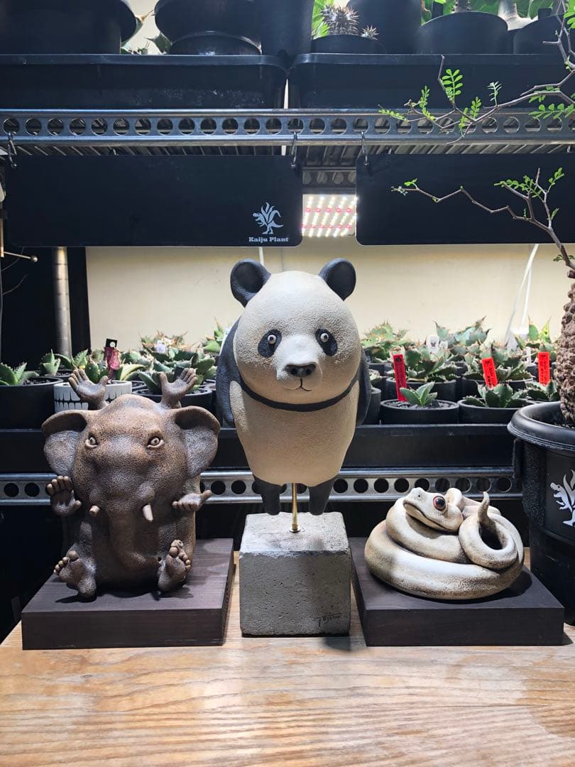 陶仁　パンダ　一点物　置物