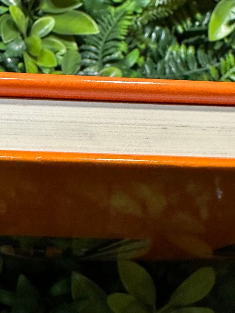 決定版 近鉄特急 寺本光照・林基一 共著 鉄道資料本 - メルカリ