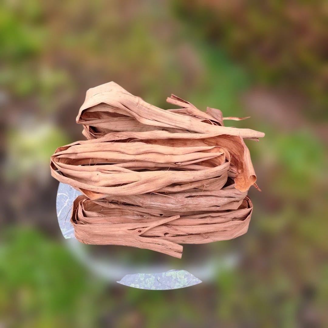 さーちゃん 青森岩木山産 山葡萄 皮 樹皮 約2kg