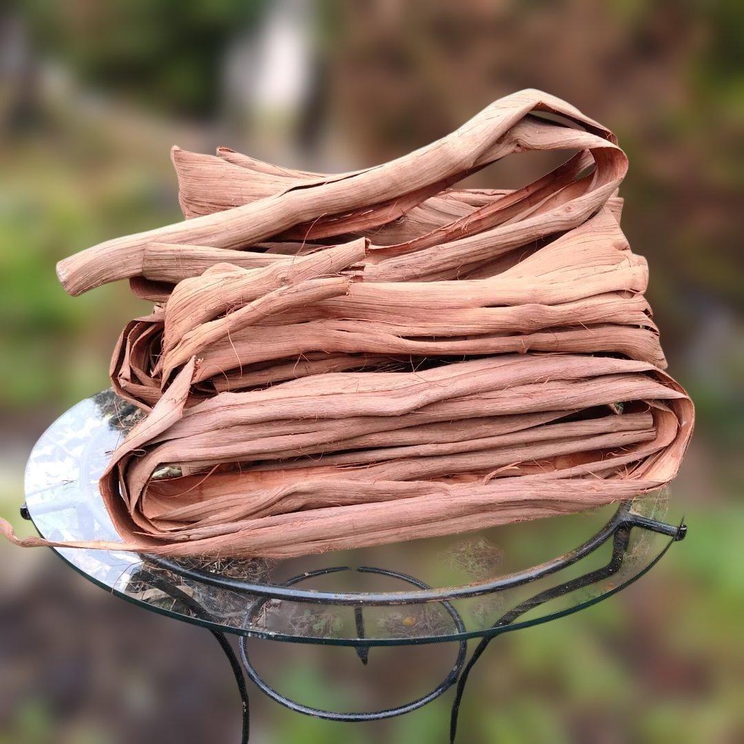 さーちゃん 青森岩木山産 山葡萄 皮 樹皮 約2kg