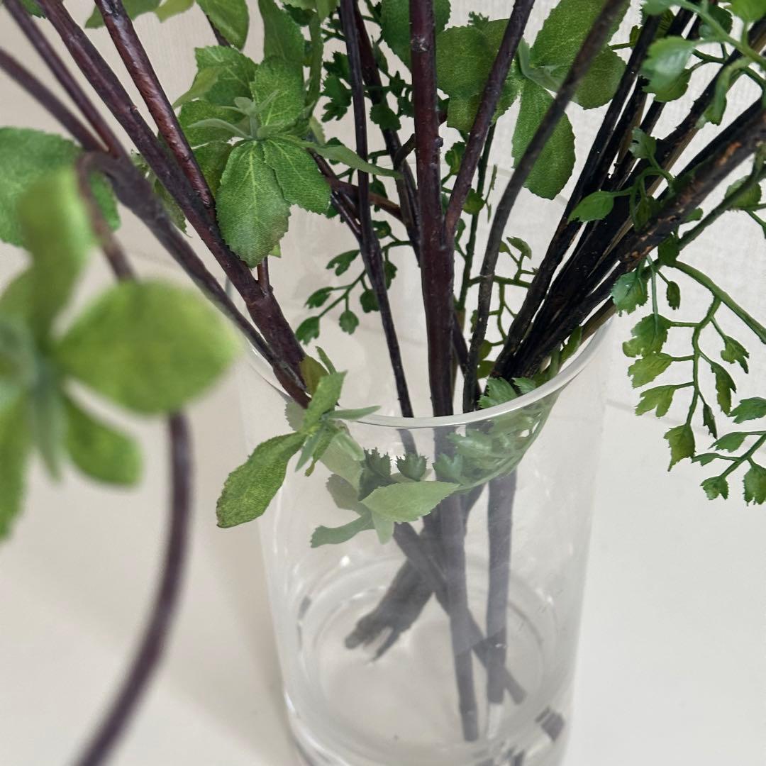 GREENPARK ドウダンツツジ ミックス 新品未使用 - メルカリ