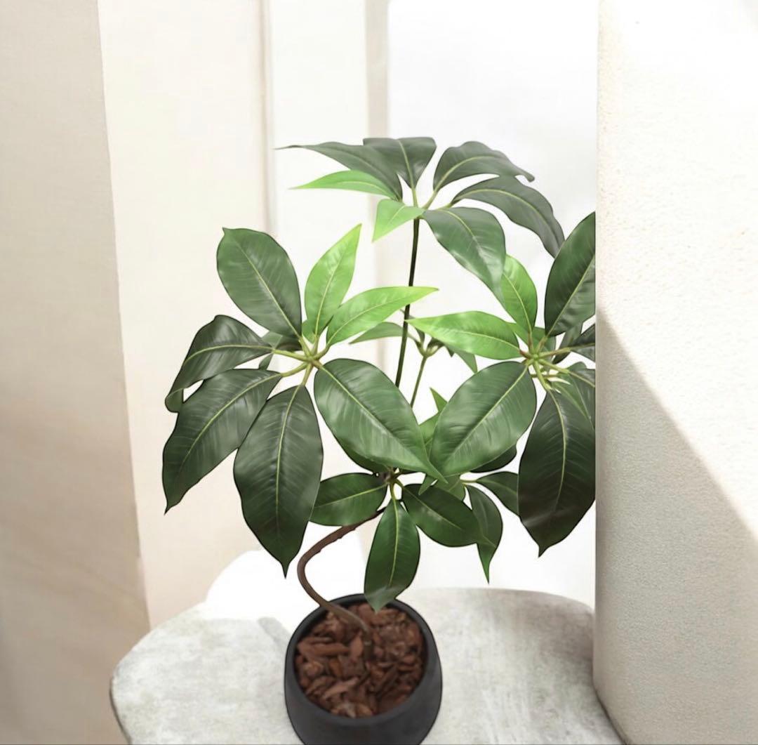 光触媒　人工観葉植物　ウォールグリーン　フェイクグリーン　ナチュラルツピタンサス