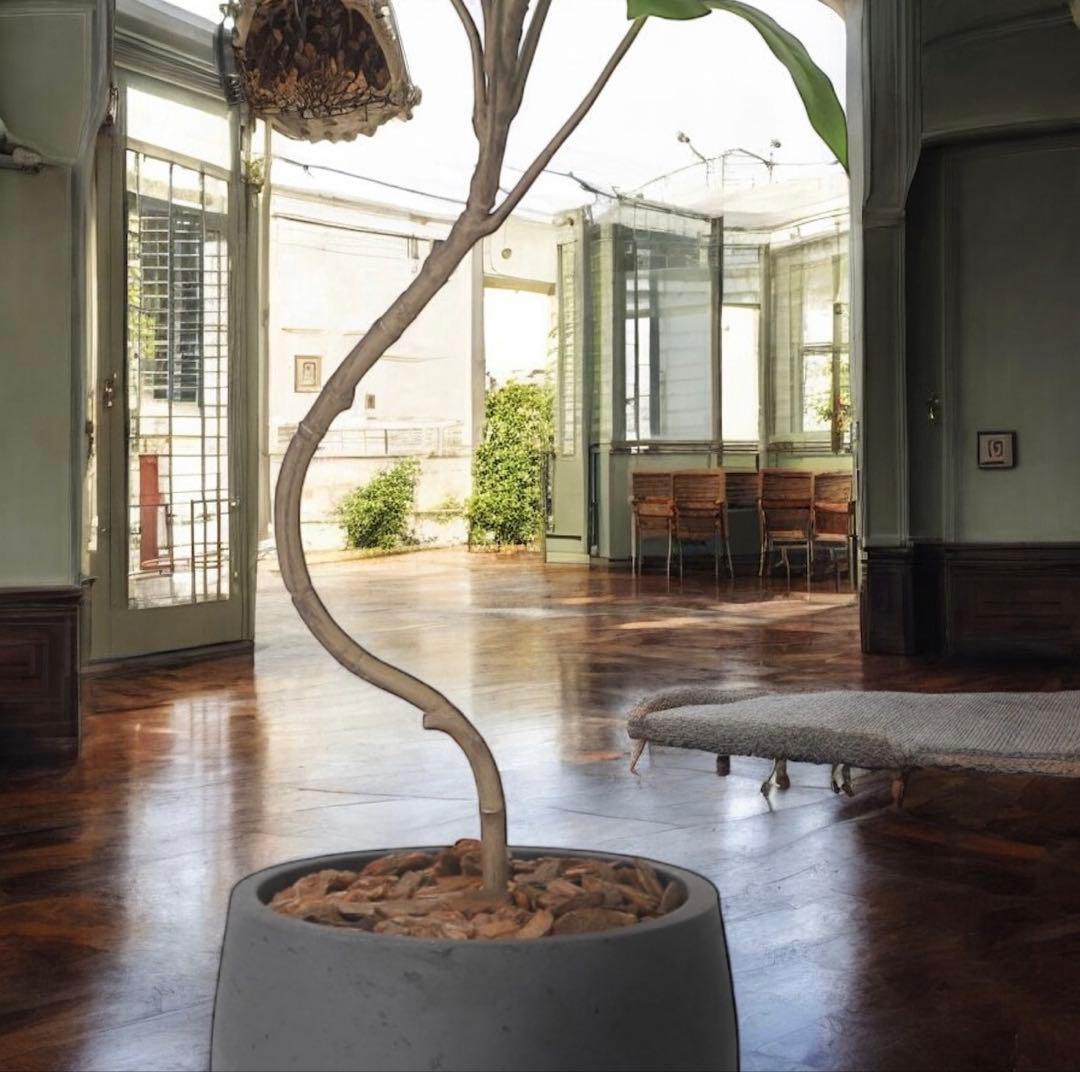 光触媒　人工観葉植物　ウォールグリーン　フェイクグリーン　ナチュラルツピタンサス