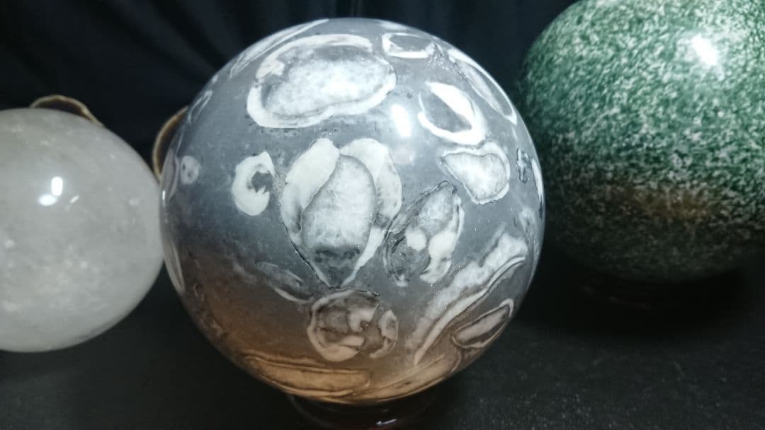 海貝石 6,36㎏ 165ミリ 強運を呼び込む 危険を回避 魔除け 健康運