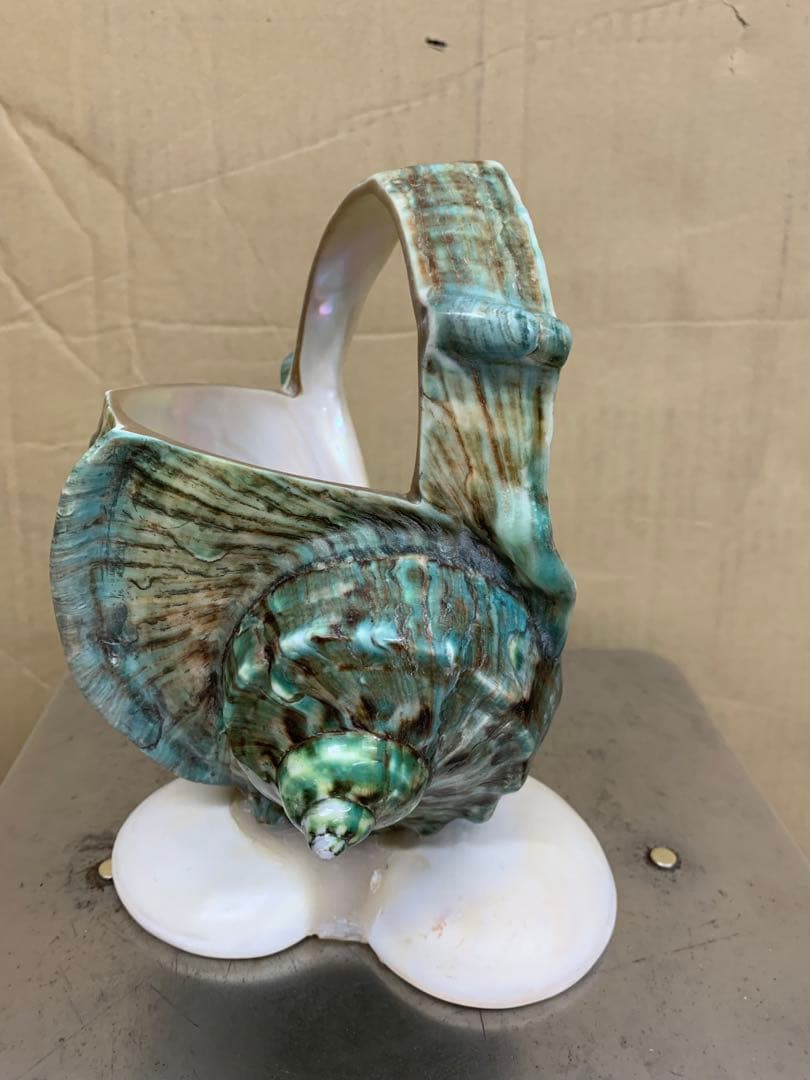 夜光貝　加工品　1.1kg