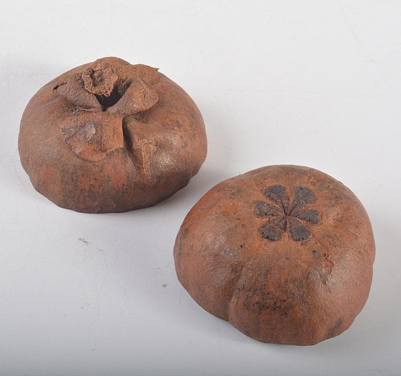 茶道具 マンゴスチン 内漆塗 時代箱 花押あり M R5248 - メルカリ