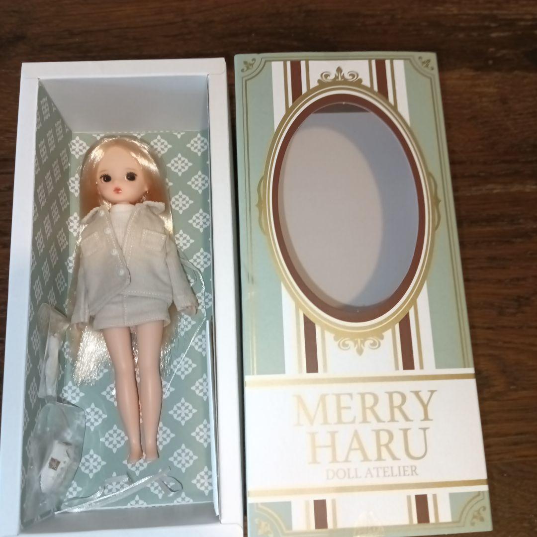 Merry Haru メリハル 冬の日 韓国ドール - メルカリ
