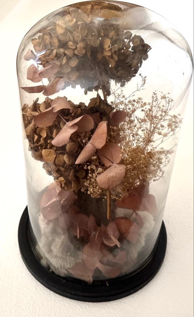 アンティーク グラスドーム ドライフラワー undercover オブジェ