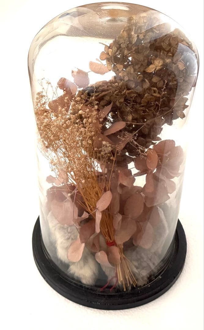 アンティーク グラスドーム ドライフラワー undercover オブジェ