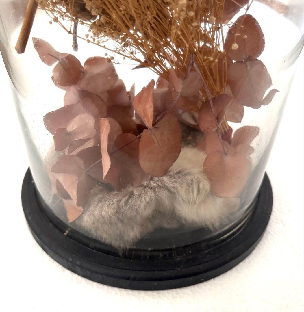 アンティーク グラスドーム ドライフラワー undercover オブジェ