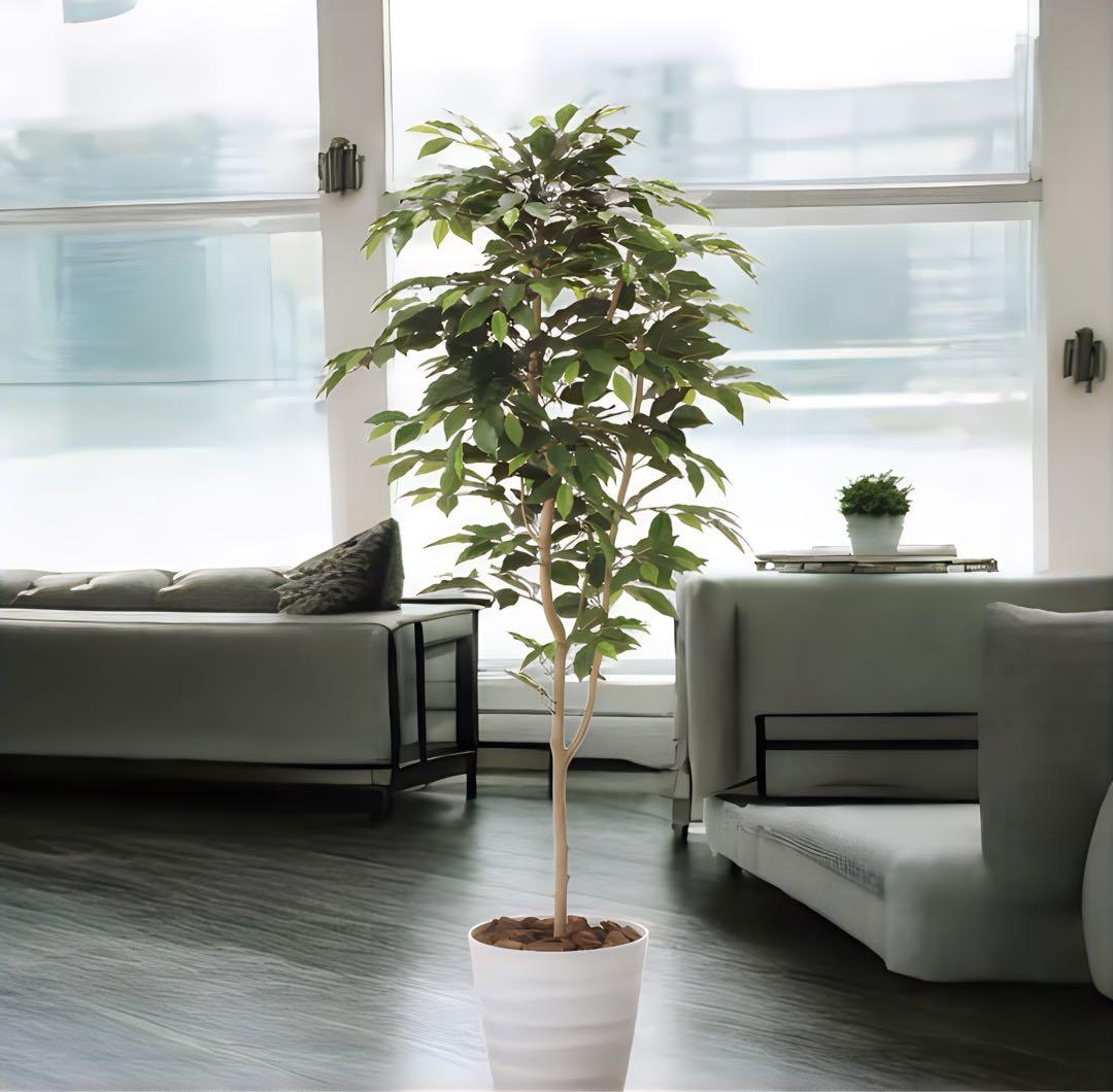 光触媒 光触媒 人工観葉植物 ウォールグリーン フェイクグリーン