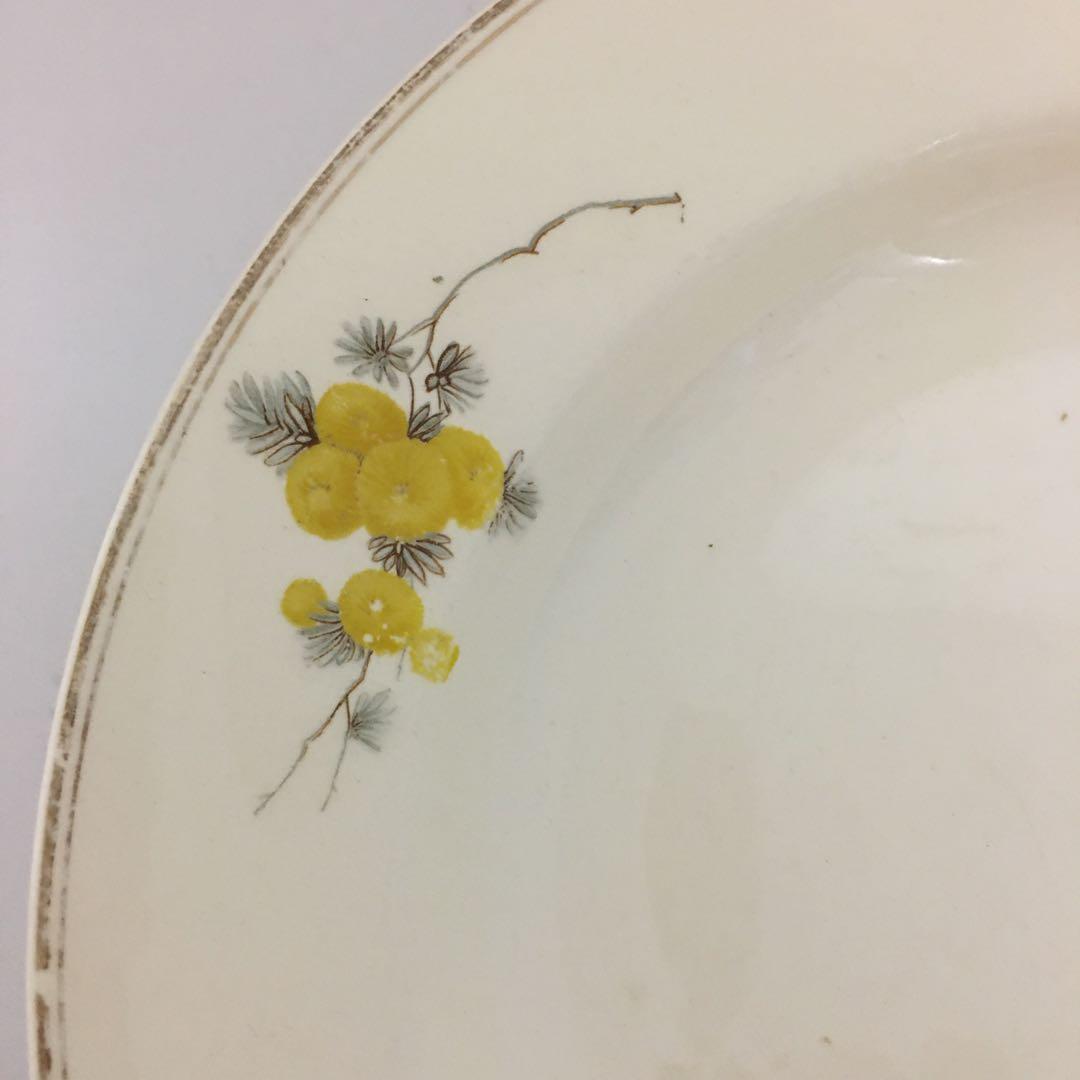 ミモザ柄のスーププレート オランダ アンティーク　マーストリヒト