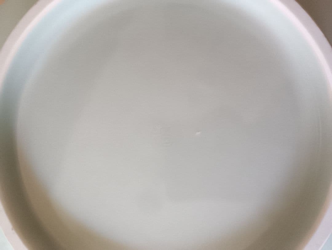 土山敬司＊青磁輪花鉢