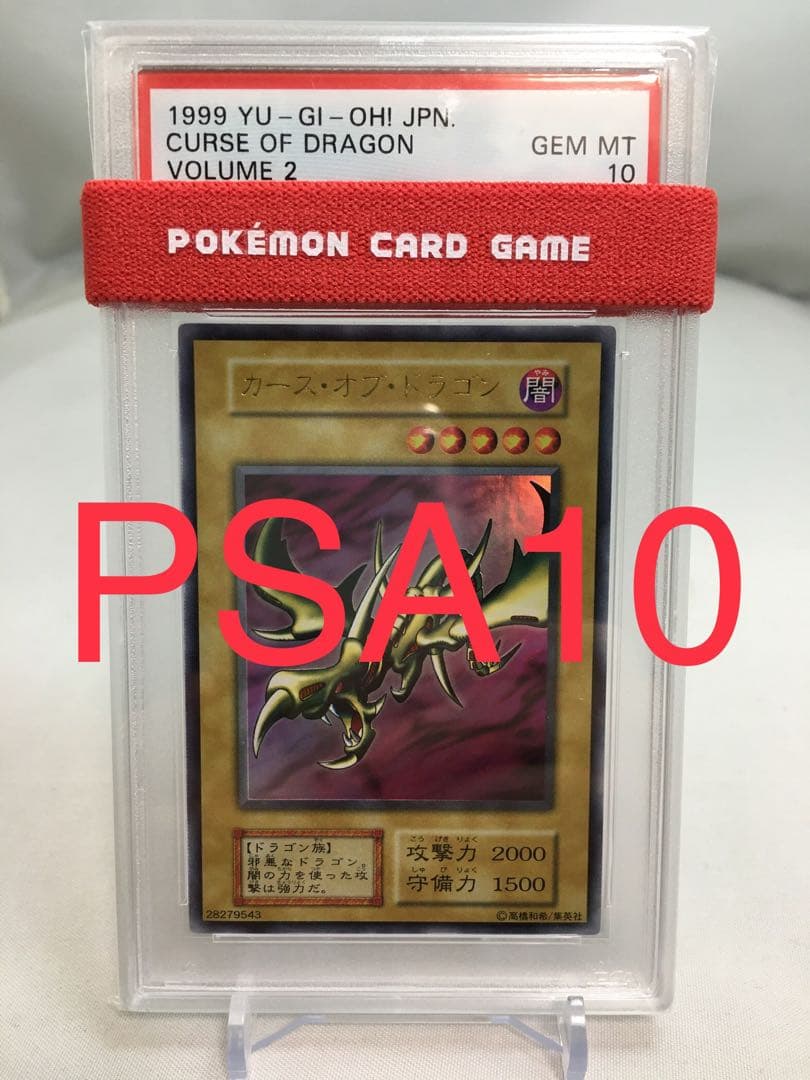 PSA10】カースオブドラゴン初期ノーマル遊戯王鑑定PSA