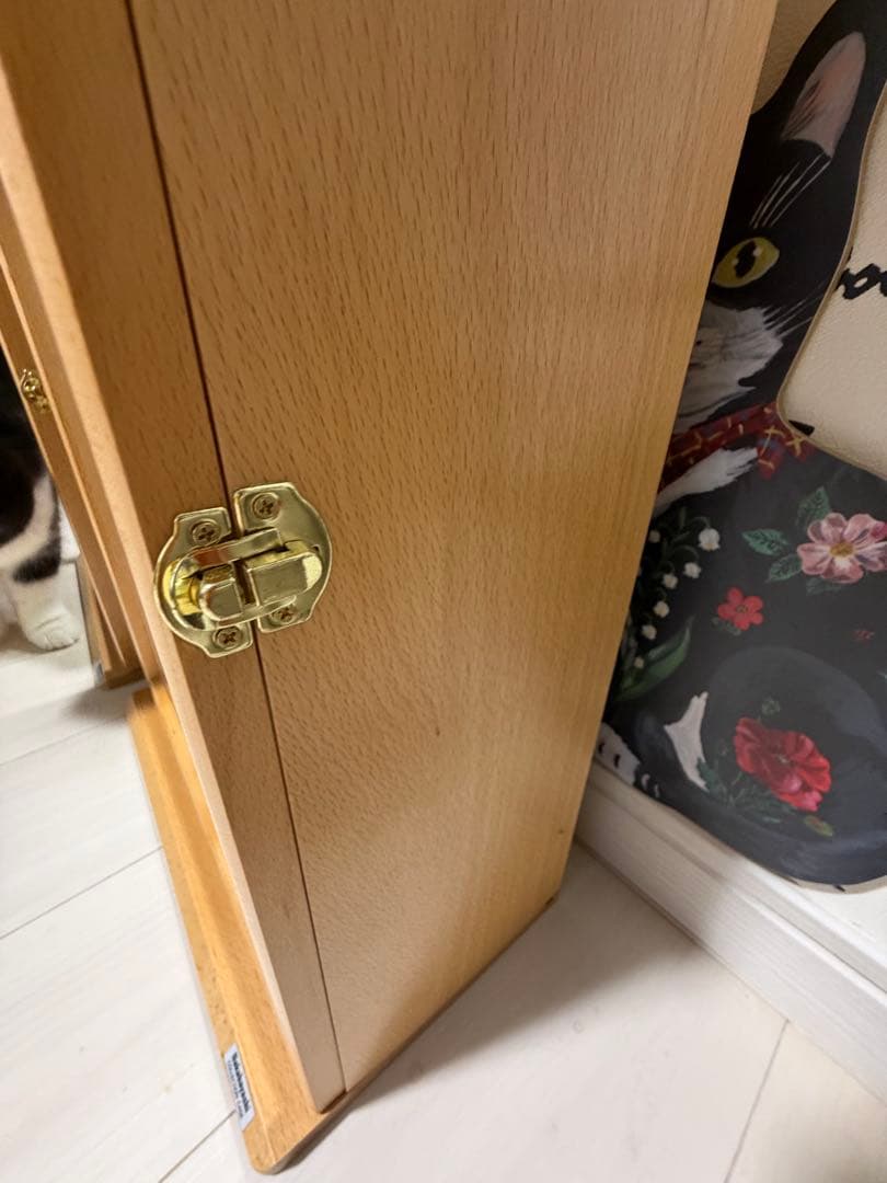 ナカバヤシ　コレクションケース　２個