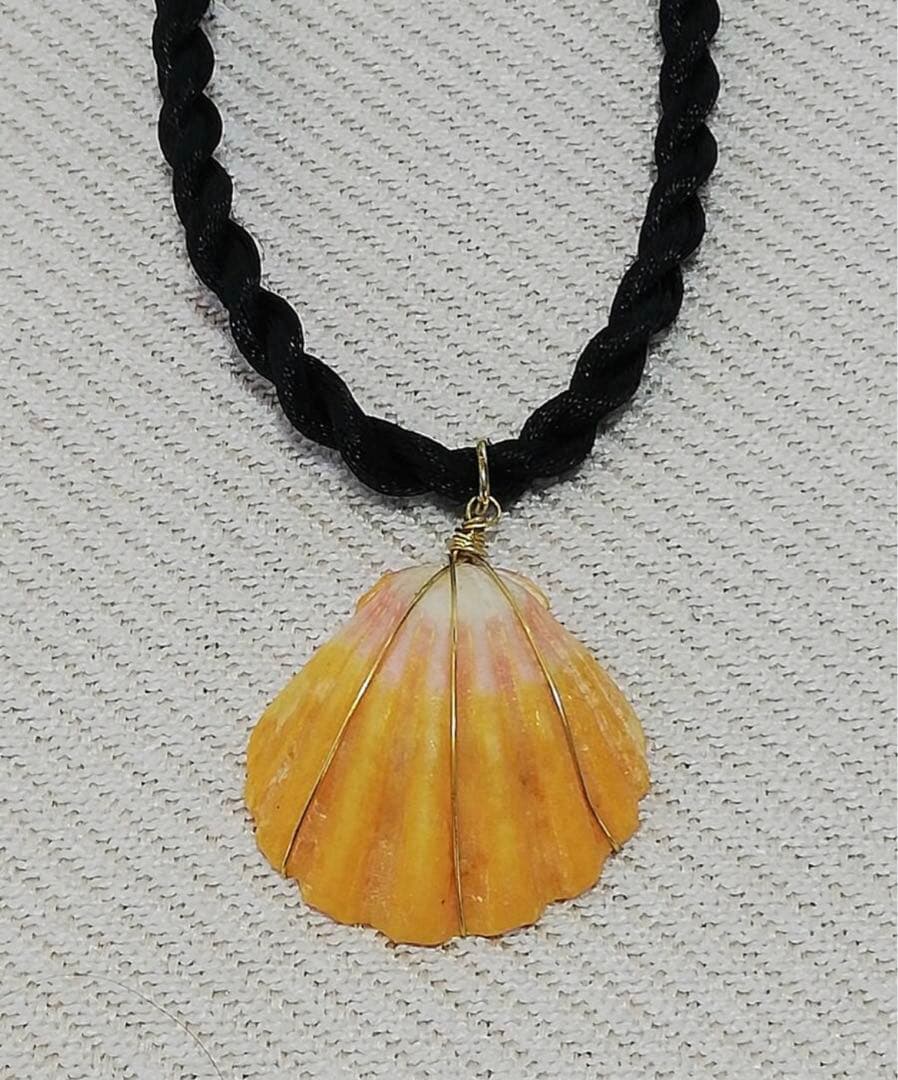 ハワイ ハワイアンジュエリー サンライズシェル ハワイ限定 天然 希少