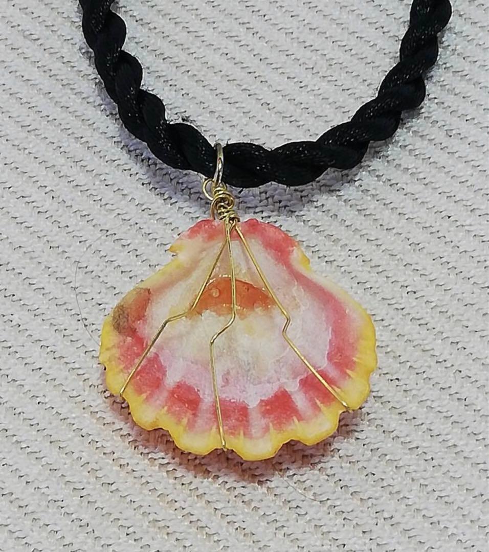 ハワイ ハワイアンジュエリー サンライズシェル ハワイ限定 天然 希少