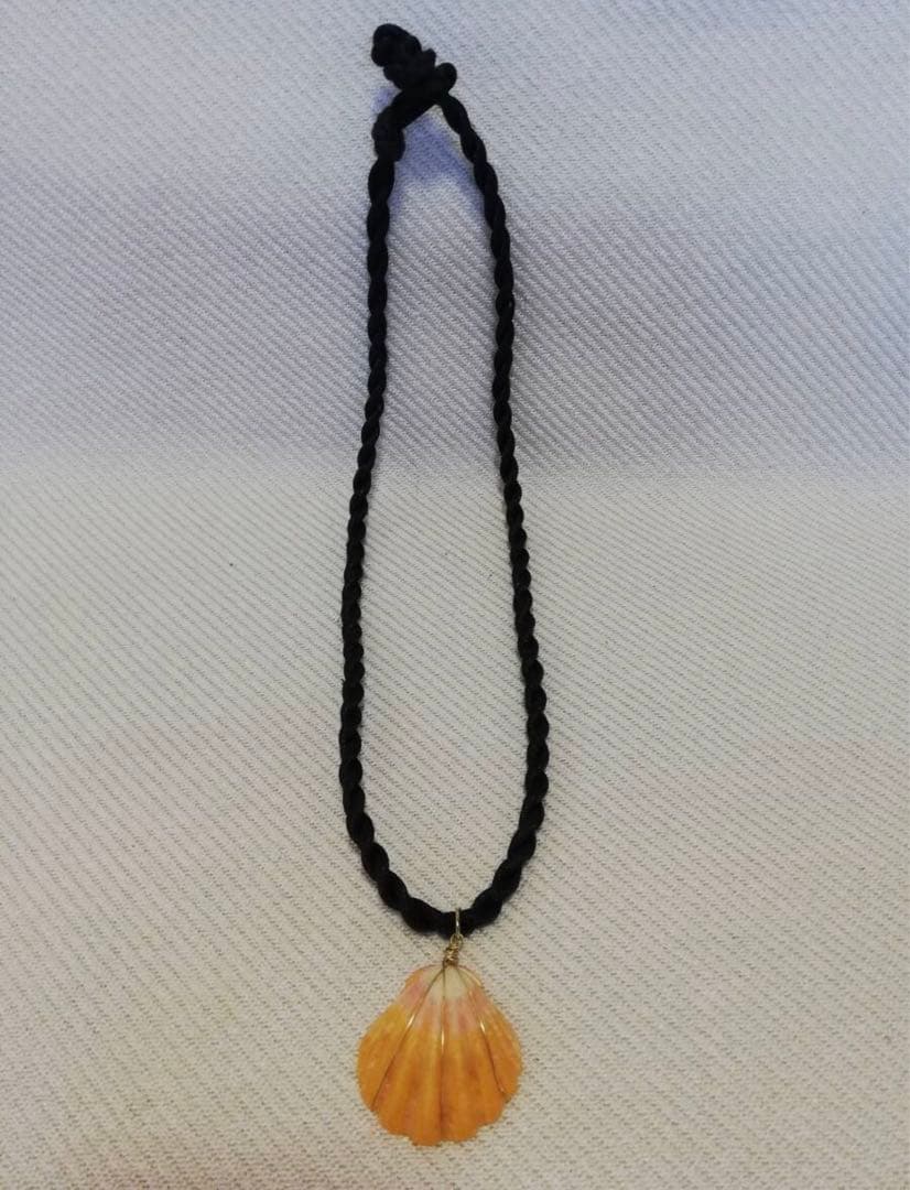 ハワイ ハワイアンジュエリー サンライズシェル ハワイ限定 天然 希少