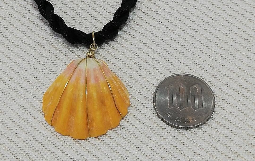 ハワイ ハワイアンジュエリー サンライズシェル ハワイ限定 天然 希少