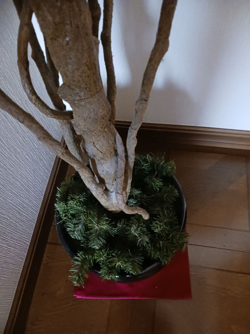 おしゃれなクリスマスツリー&正月飾り&季節のお花飾り