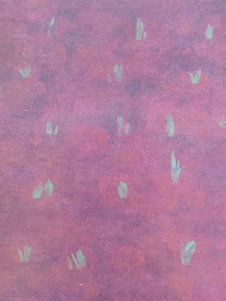 石川 義、芽生え、希少な額装用画集より、美品、新品額装付