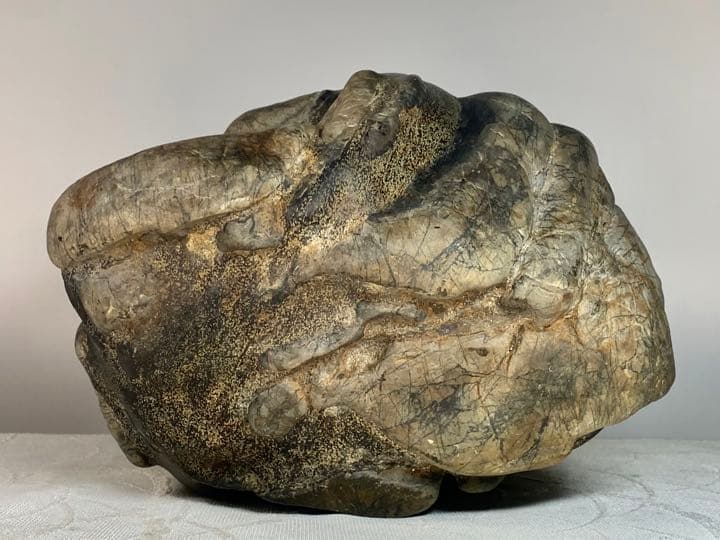 2602 瀬田川黒乱虎金梨地石  横22×高32(cm) 11.62kg