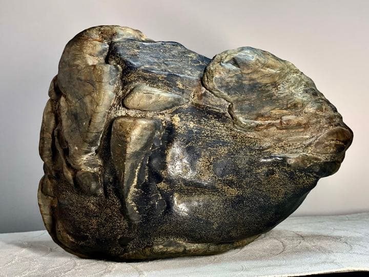 2602 瀬田川黒乱虎金梨地石  横22×高32(cm) 11.62kg