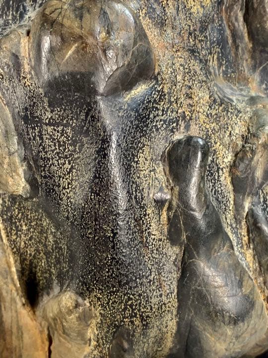 2602 瀬田川黒乱虎金梨地石  横22×高32(cm) 11.62kg