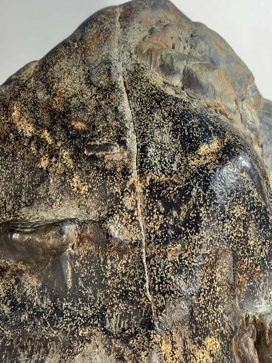 2602 瀬田川黒乱虎金梨地石  横22×高32(cm) 11.62kg