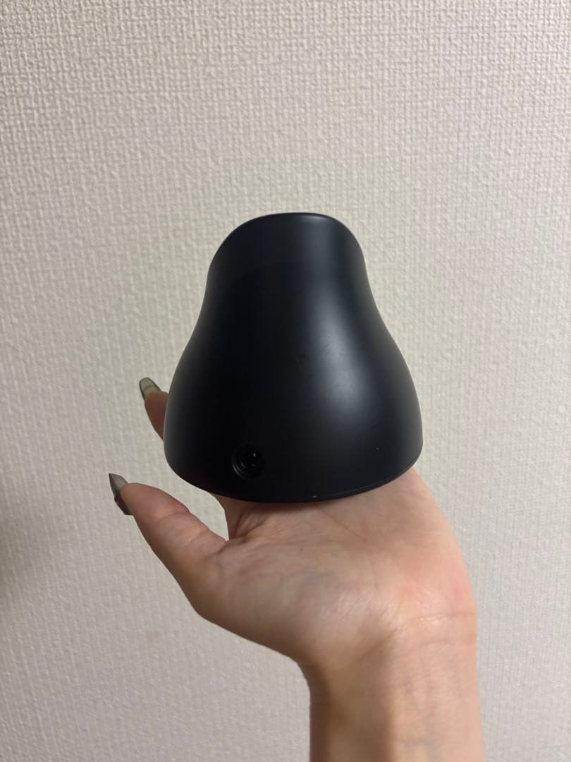 ⚠️緊急値下げ⚠️美品【正規品】CARE PRO 〈ケアプロ〉超音波アイロン