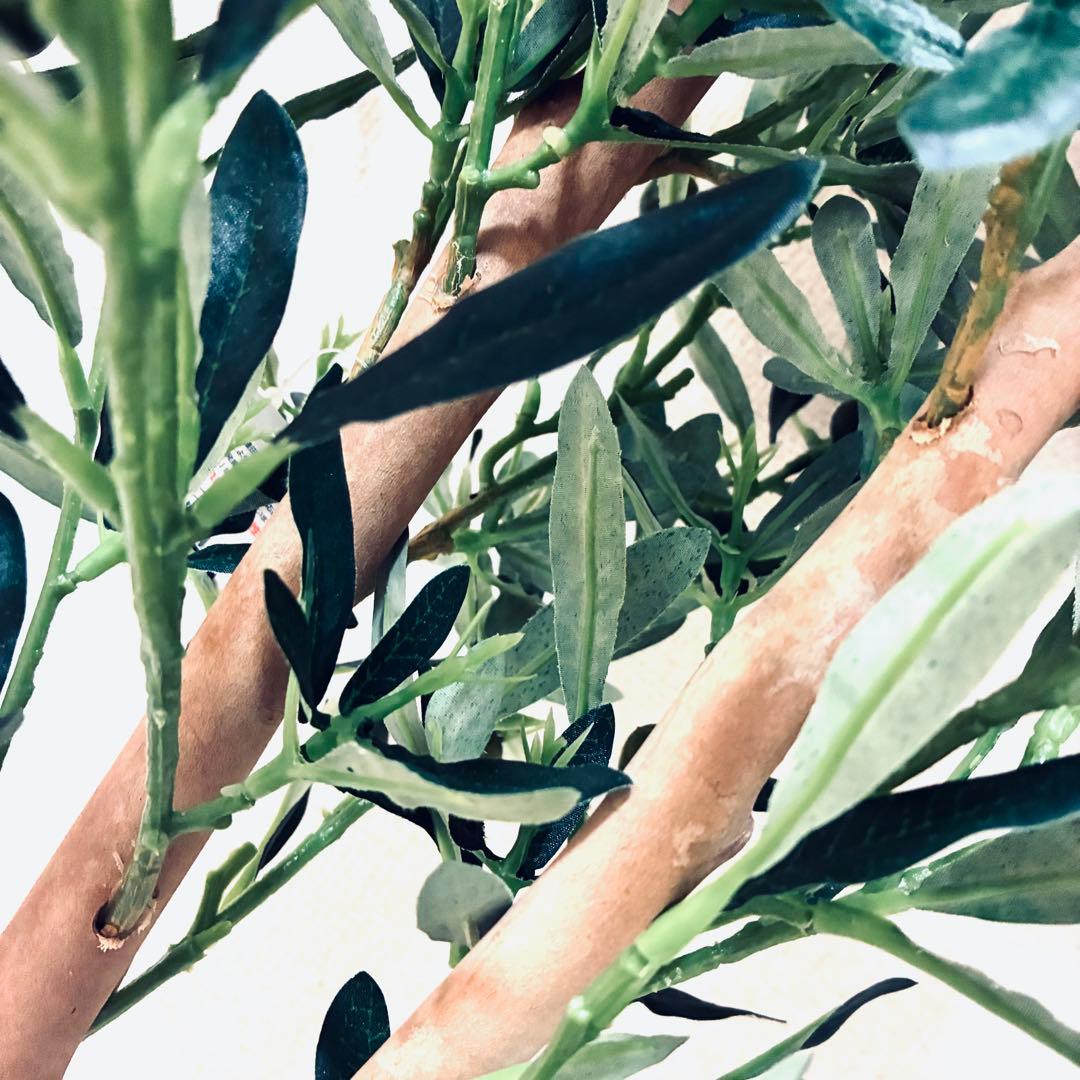 フェイクグリーン　オリーブ　人工観葉植物　光の楽園