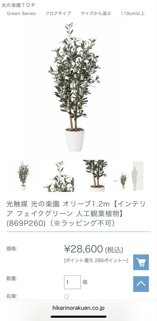 フェイクグリーン　オリーブ　人工観葉植物　光の楽園