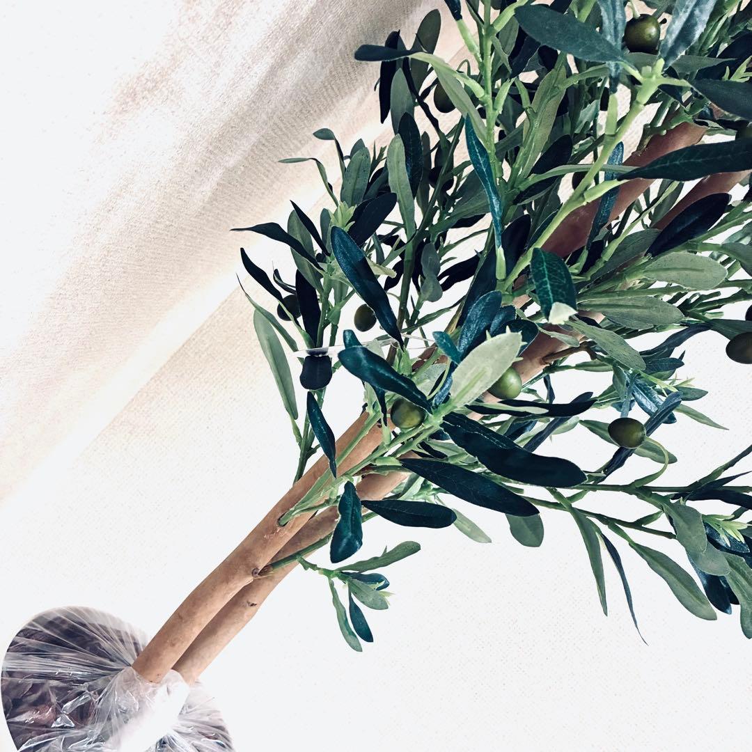 フェイクグリーン　オリーブ　人工観葉植物　光の楽園