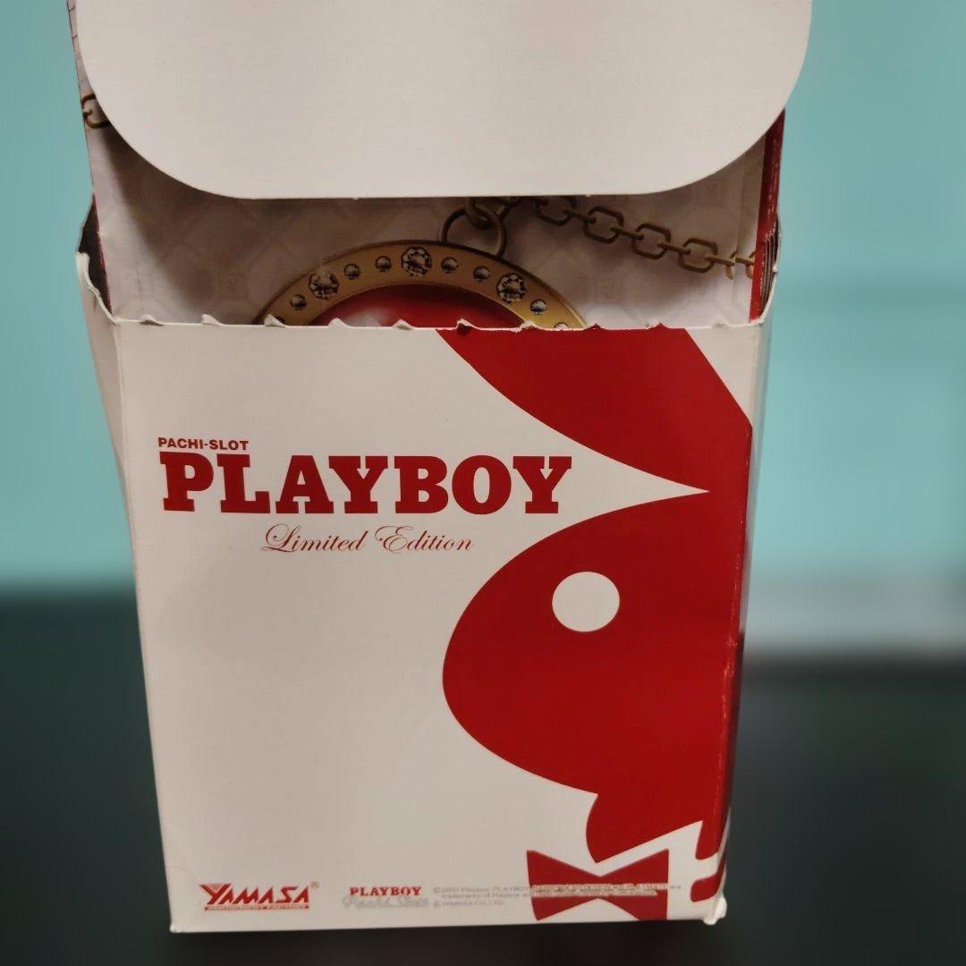 パチスロPLAYBOY　LimitedEdition ガイドブック 約150冊