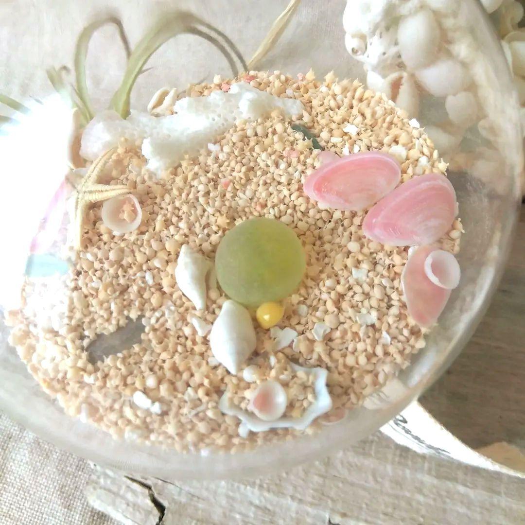 海を感じる硝子のツリー クリスマスツリー