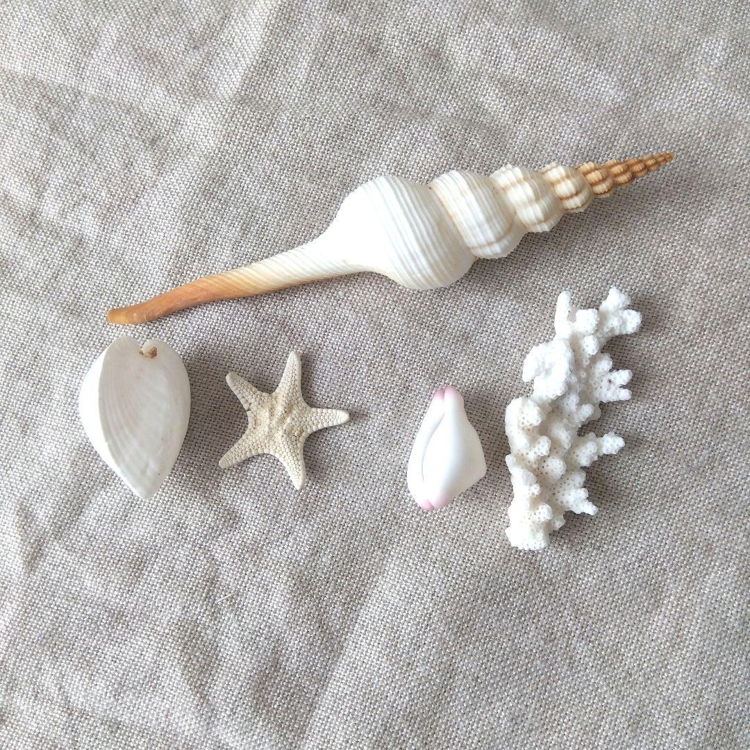 海を感じる硝子のツリー クリスマスツリー