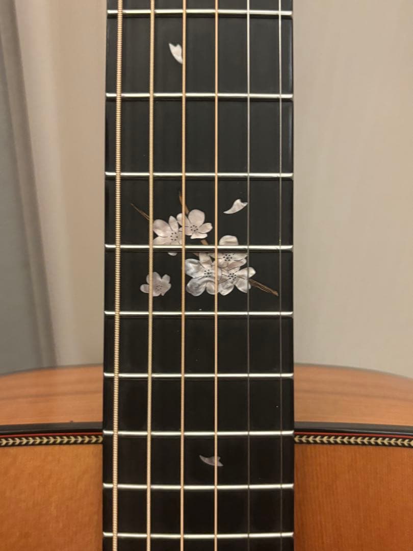 Headway ヘッドウェイHF-URUSHI/SKR’24 SF S -STD