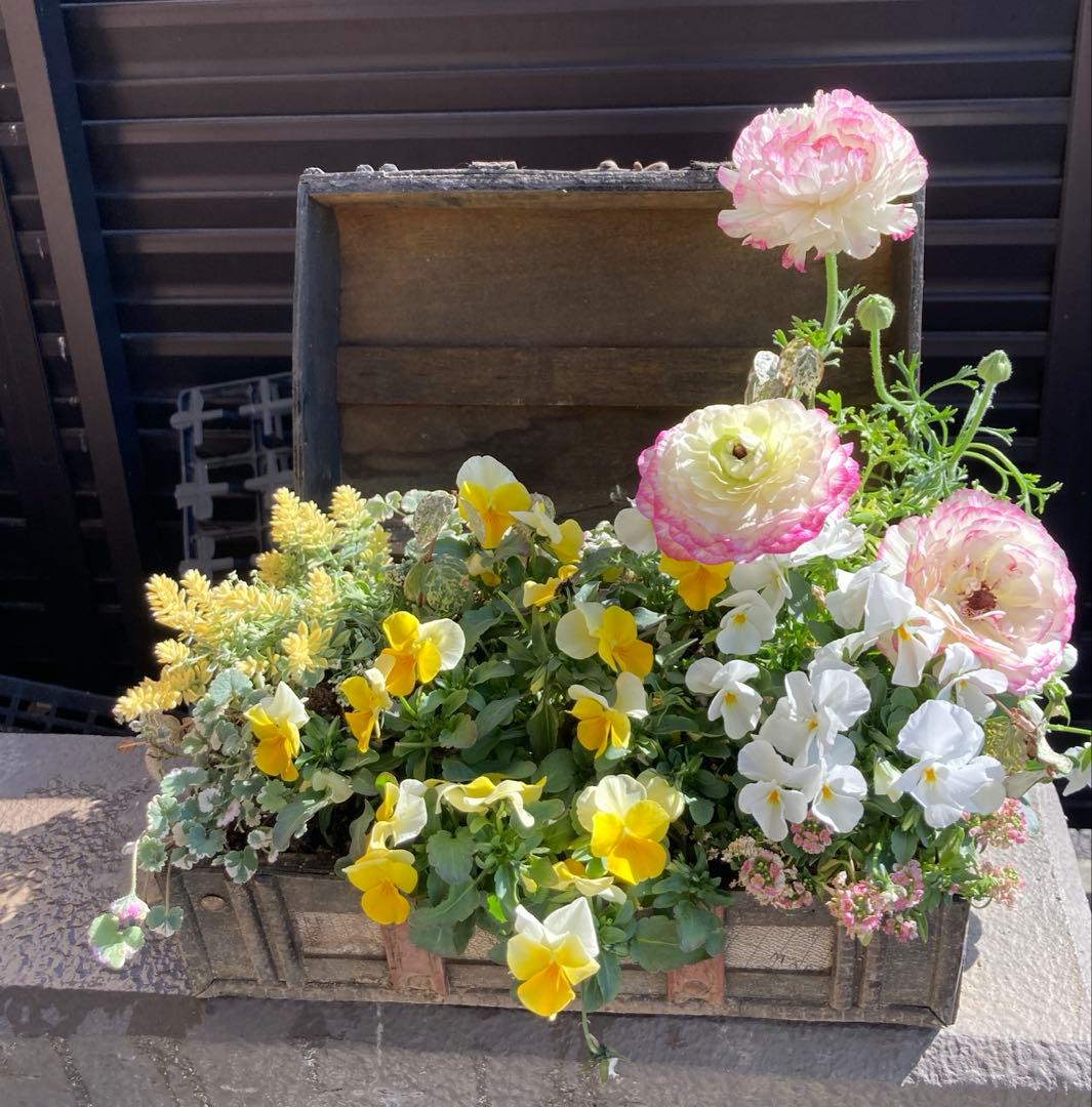 お花　寄せ植え　宝箱