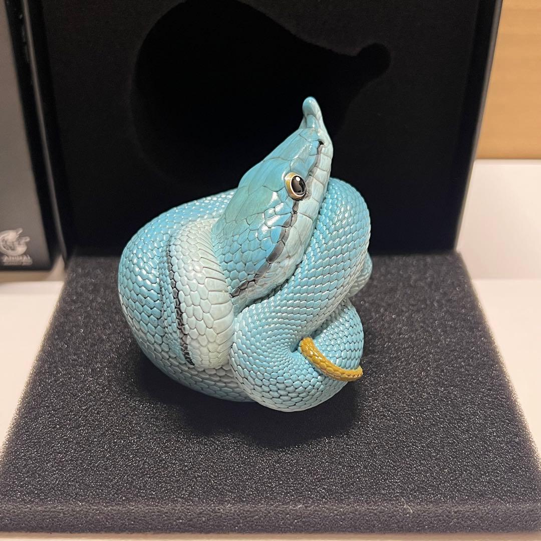 動物の惑星　レア　バロンコダマヘビ(ブルー)