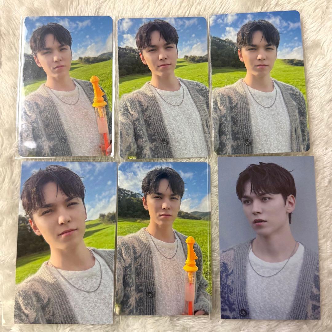 バーノン VERNON トレカ SEVENTEEN セブチ 消費期限 会場限定 - メルカリ